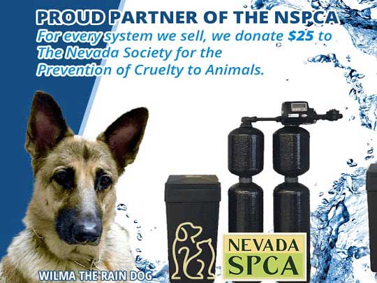 Proud Partner of the NSPCA