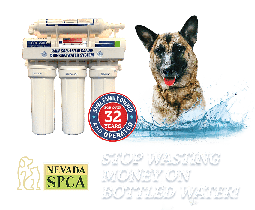 An Alkaline Reverse Osmosis System With Dani The Rain Dog In The Graphic